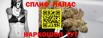 гашик Бузулук
