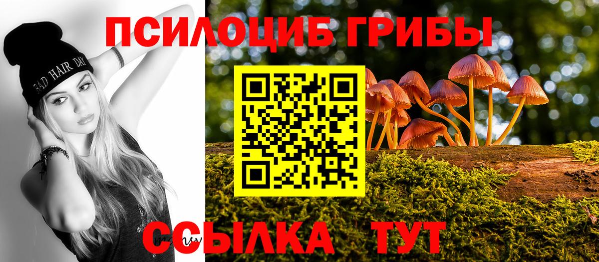 Псилоцибиновые грибы Cubensis  Вход с VPN  Славянск-на-Кубани 